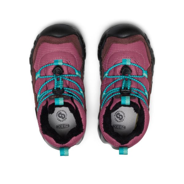 Little Kids' Hypowser Waterproof Chukka  |  Huckleberry/Violet Quartz