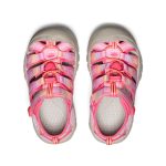 Little Kids' Newport H2  |  Hot Pink/Orchid Petal