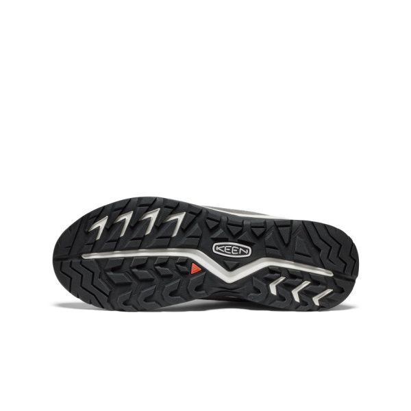 Men's Hightrail Waterproof Hiking Boot  |  Alloy/Vapor
