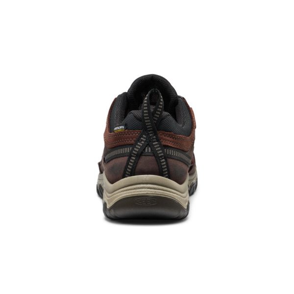 Men's Targhee IV Waterproof Hiking Shoe  |  Java/Bison