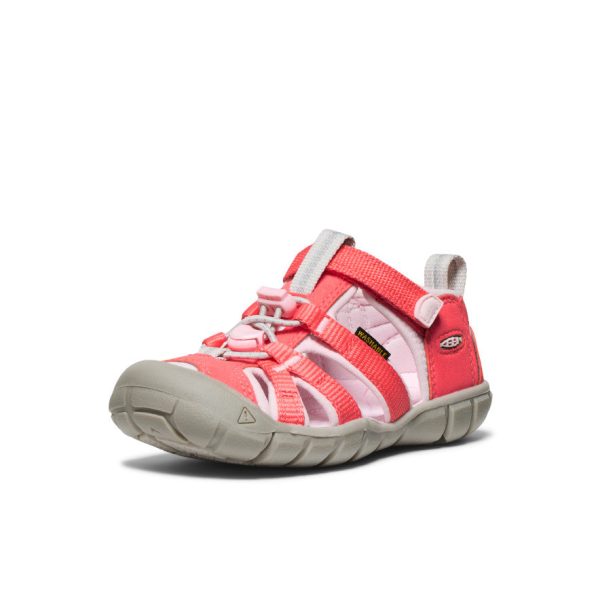 Little Kids' Seacamp II CNX  |  Dubarry/Giggle Pink