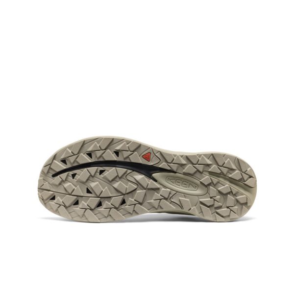 Men's Wander Trail Running Shoe  |  Star White/Desert Sage