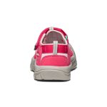 Little Kids' Newport H2  |  Raspberry/Giggle Pink